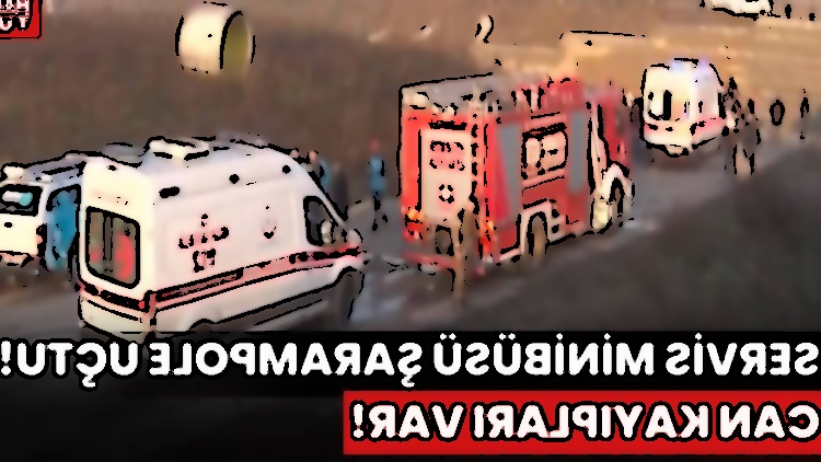 image not found