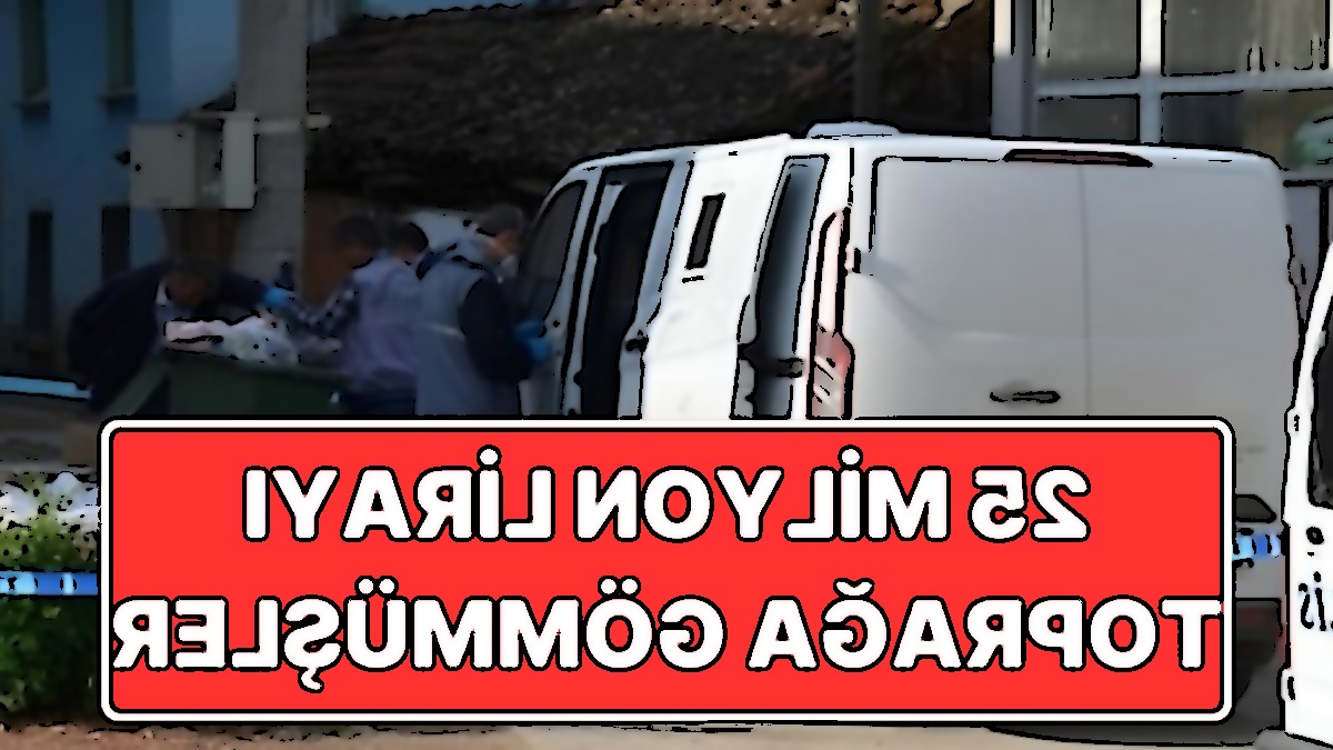 image not found